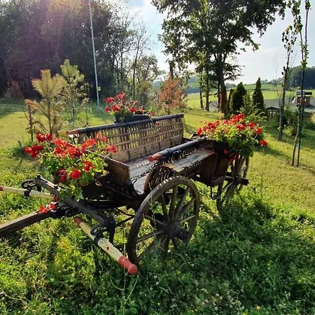 Resavsko Etno Selo Guest house Despotovac