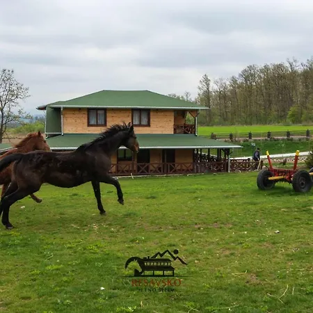 Guest house Resavsko Etno Selo