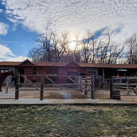 Resavsko Etno Selo Konukevi 4*